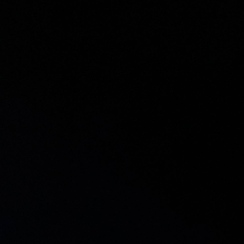 IGNORE